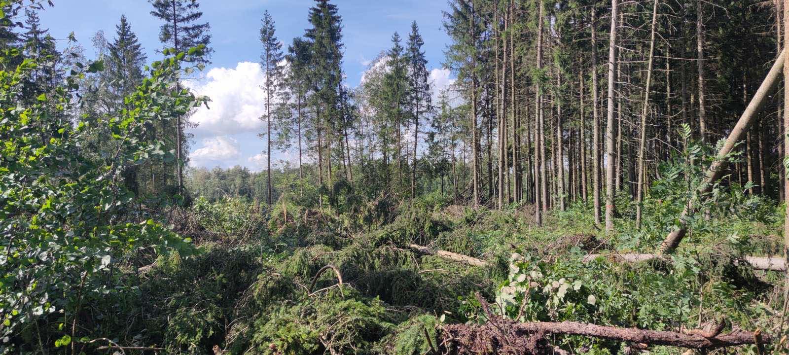 2024-08-02 | Išanalizavus įvykius, atnaujinami stichinių meteorologinių ir hidrologinių reiškinių rodikliai